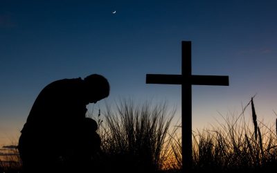 Es necesario orar siempre, sin desfallecer, por las vocaciones (cf. Lc18,1)