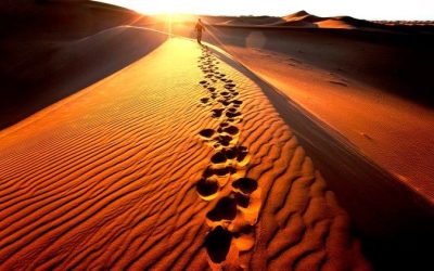 El camino del éxodo en el desierto cuaresmal