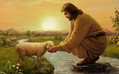 Como sacerdote: ¿me parezco al buen pastor?