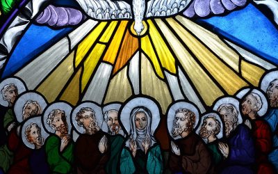 “Dios ha querido enviarnos a difundir el perfume de Cristo donde reina el olor de la muerte”